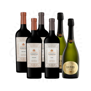 COMBO PREMIUM SALENTEIN (2 ALYDA + 2 NUMINA GRAN CORTE + 2 NUMINA MALBEC)