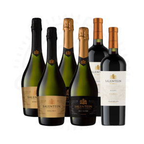 COMBO CLASICO SALENTEIN (2 BRUT NATURE + 2 EXTRA BRUT + 2 RESERVA MALBEC)