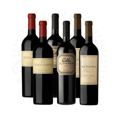 COMBO STANDARD CATENA ZAPATA (2 ANGELICA + 2 EL ENEMIGO + 2 DV M-M)