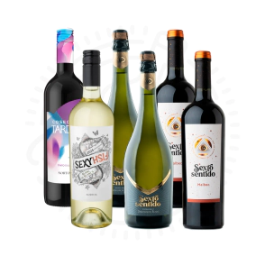 COMBO MIX 2 (2 S. SENTIDO MALBEC + 2 S. SENTIDO EB SB + 1 SEXY FISH + 1 NORTON TARDIO TINTO)