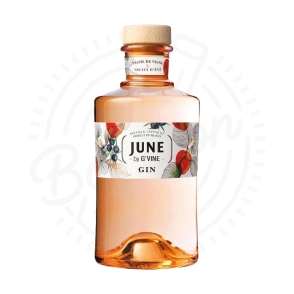 GIN JUNE PEACH X700CC