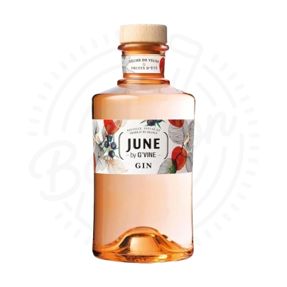 GIN JUNE PEACH X700CC