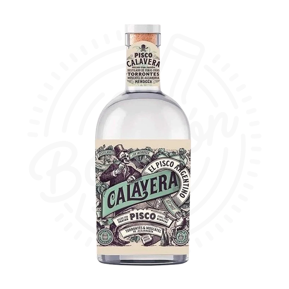 PISCO CALAVERA X750CC