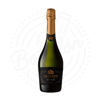 SALENTEIN BRUT NATURE X750CC