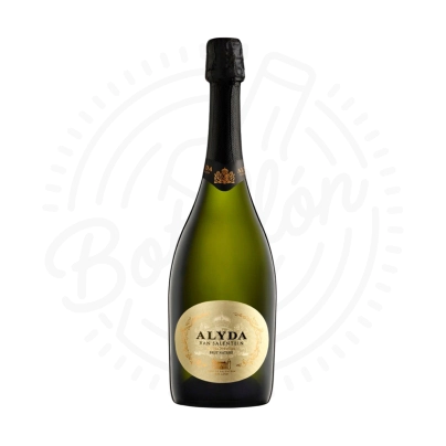 ALYDA VAN SALENTEIN BRUT NATURE X750CC